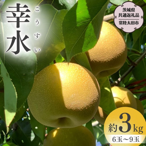 【2025年8月中旬発送開始】 茨城県産 梨 「 幸水 」 約 3kg 6玉 ～ 9玉 【茨城県共通返礼品／常陸太田市】 桧山果樹園 農家直送 フルーツ 甘い 直送 茨城 限定 ギフト 梨 幸水 こうすい 果物 [DU001sa] 1645471 - 茨城県桜川市