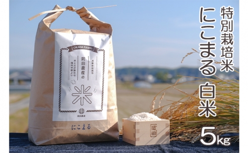 令和3年産 特別栽培米 にこまる 白米5kg 164628 - 兵庫県加西市