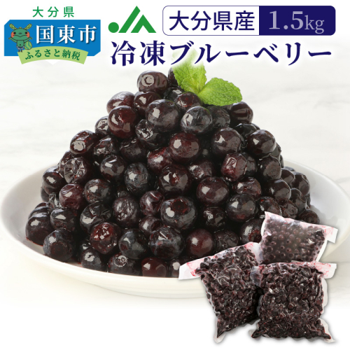 【ご家庭用】冷凍ブルーベリー1.5kg（大分県産） 164822 - 大分県国東市