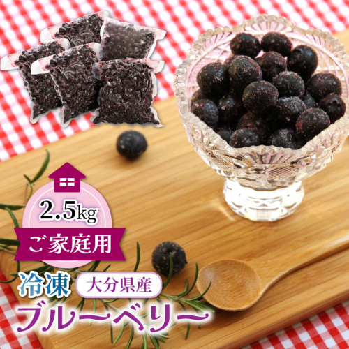 【ご家庭用】冷凍ブルーベリー2.5kg（大分県産）_1894R 164823 - 大分県国東市