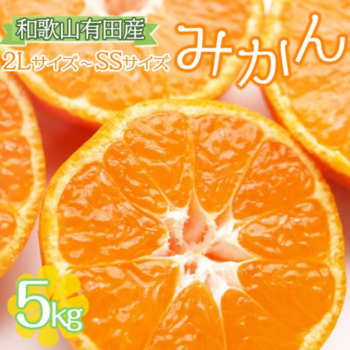 和歌山有田産みかん約5kg サイズ混合(2L~SS)ご家庭用 ※2022年10月下旬頃~2023年1月下旬頃に順次発送予定 ※日時指定、離島への発送は不可 164998 - 和歌山県美浜町