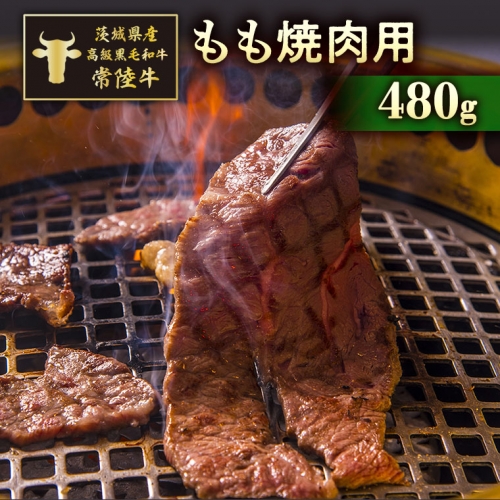 茨城県産高級黒毛和牛「常陸牛」　もも焼肉用　480g　[AI009ya]