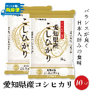 【12月18日受付分まで年内発送】（数量限定）【すぐにお届け&日時指定可】 愛知県産コシヒカリ 10kg(5kg×2袋)　こめ コメ ごはん 安心安全なヤマトライス 米 白米 国産 精米 10キロ 新米 令和7年 H074-688