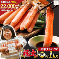 極太 生本ずわいがに 棒肉ポーション 約1kg 26本～40本入り 殻剥き不要 ! 脚肉のみ ! [カネダイ 宮城県 気仙沼市 20564335] 蟹 かに カニ ずわいがに ズワイガニ ずわい蟹 ズワイ蟹 カニ脚 蟹脚 カニ棒肉