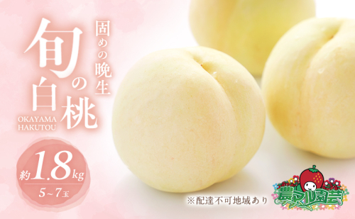 固めの 桃 2025年 先行予約 晩生の旬の 白桃 約1.8kg 5～7玉 進物用 もも モモ フルーツ 果物 岡山 赤磐市産 農マル園芸 あかいわ農園 家庭用 白皇 白露 甘々燦燦 あきぞら 西王母 瀬戸内白桃  165482 - 岡山県赤磐市