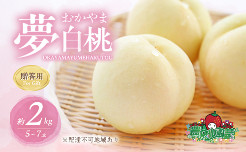桃 2026年 先行予約 おかやま 夢 白桃 約2kg 5～7玉 贈答用 もも モモ フルーツ 果物 岡山 赤磐市産 農マル園芸 あかいわ農園 165484 - 岡山県赤磐市