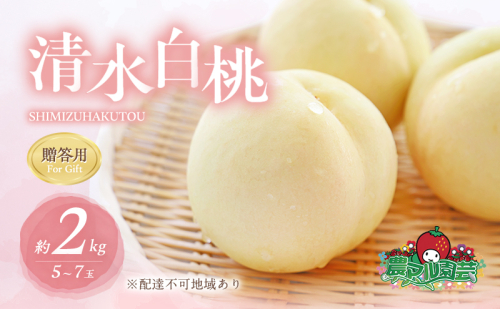 桃 2026年 先行予約 清水 白桃 約2kg 5～7玉 贈答用 もも モモ フルーツ 果物 岡山 赤磐市産 農マル園芸 あかいわ農園 165487 - 岡山県赤磐市