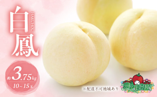 桃 2026年 先行予約 白桃 白鳳 約3.75kg 10～15玉 進物用 もも モモ フルーツ 果物 岡山 赤磐市産 農マル園芸 あかいわ農園 家庭用  165488 - 岡山県赤磐市