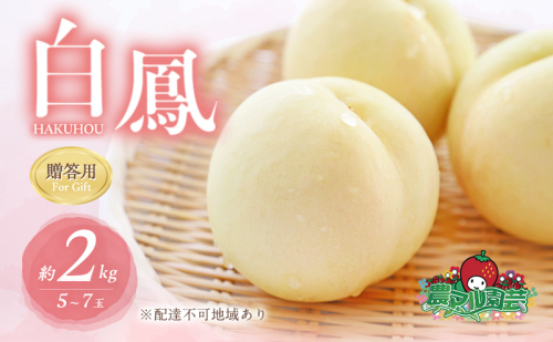 桃 2026年 先行予約 白桃 白鳳 約2kg 5～7玉 贈答用 もも モモ フルーツ 果物 岡山 赤磐市産 農マル園芸 あかいわ農園  165490 - 岡山県赤磐市