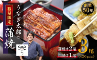 [蒲焼2尾 白焼1尾 計3尾セット]創業50年・職人による手焼き 大隅産うなぎ