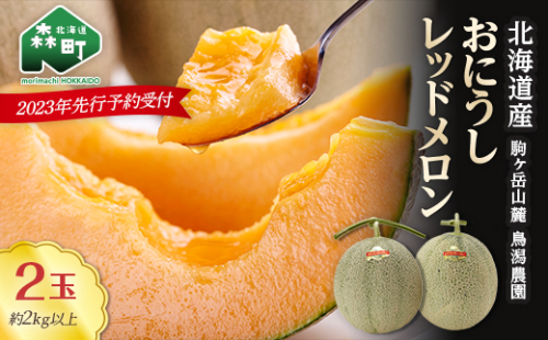 ★来季出荷分受付中★おにうしレッドメロン約2kg以上×2玉《鳥潟農園》 森町 赤肉 メロン 果物 レッドメロン 北海道産 ふるさと納税 北海道 mr1-0200 165576 - 北海道森町