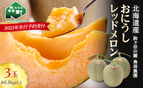 ★来季出荷分受付中★おにうしレッドメロン約1.8kg以上×3玉《鳥潟農園》 森町 赤肉 メロン 果物 レッドメロン 北海道産 ふるさと納税 北海道 mr1-0201