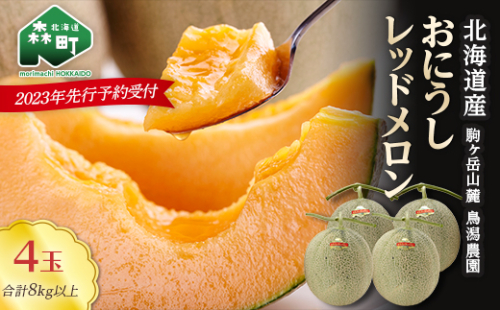 ★来季出荷分受付中★おにうしレッドメロン４玉（合計8kg以上）《鳥潟農園》 森町 赤肉 メロン 果物 レッドメロン 北海道産 ふるさと納税 北海道 mr1-0198 165579 - 北海道森町
