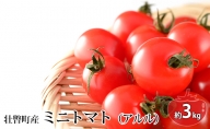 ＜2023年7月上旬よりお届け＞北海道壮瞥町産ミニトマト（アルル）約3kg