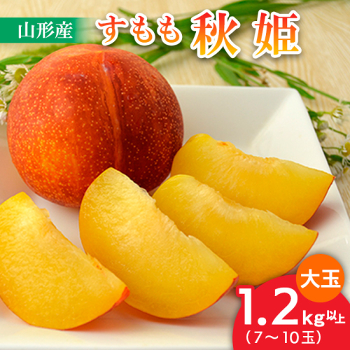 山形のすもも[秋姫]大玉 1.2kg以上(7～10玉)【令和8年産先行予約】FU22-800 165609 - 山形県山形市