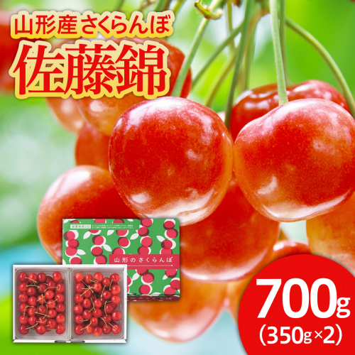 さくらんぼ 佐藤錦 700g バラ詰め Ｌサイズ 【令和8年産先行予約】FU21-613 165611 - 山形県山形市