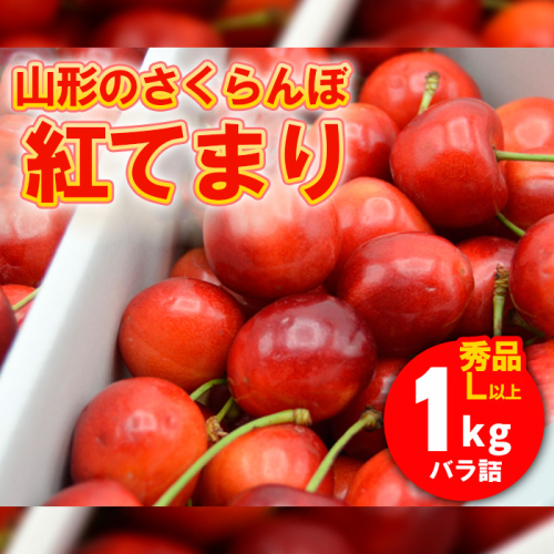 山形のさくらんぼ 紅てまり 1kg Lサイズ以上 バラ詰 【令和8年産先行予約】FS25-526 165614 - 山形県山形市