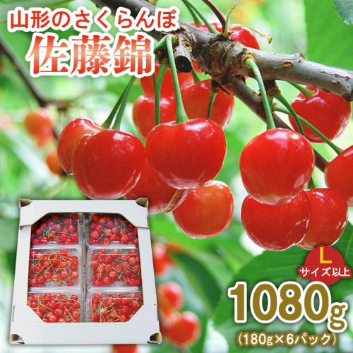 山形のさくらんぼ 佐藤錦 1080g (180g×6パック) Lサイズ以上 【令和8年産先行予約】FS25-514 165620 - 山形県山形市