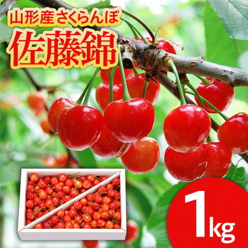 山形のさくらんぼ 佐藤錦 1kg Lサイズ以上 バラ詰 【令和8年産先行予約】FS25-513 165621 - 山形県山形市