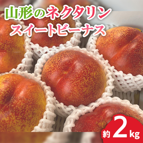 山形のネクタリン(スイートビーナス)約2kg 【令和8年産先行予約】FS24-568 165625 - 山形県山形市