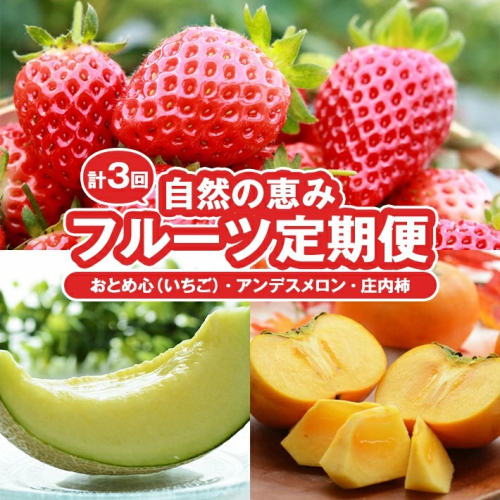 SD0138　【3回定期便】自然の恵みフルーツ定期便2025(2) (いちご、アンデスメロン、柿) 165892 - 山形県酒田市
