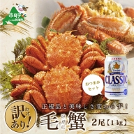 ギュっっと詰まった繊細な身 訳あり 北海道産 冷凍 毛蟹 サイズ不揃い 1kg と サッポロクラシック ビール の セット