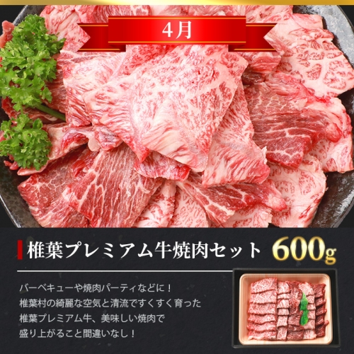 【定期便3回】総重量1.8kg！椎葉プレミアム牛 大自然の中で味わうBBQ定期便≪焼き肉・ステーキ≫