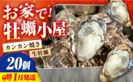 [1月9日(金)着]牡蠣 殻付き かき カキ [生牡蠣][着日指定可能]究極の漁師めし!かきうちの 殻付き牡蠣 ガンガン焼き 20個 牡蠣 かき カキ 生牡蠣 ガンガン焼き 広島 江田島市/株式会社かきうち[XBK006] 牡蠣 むき身 殻付き 殻付 殻 かき カキ 生牡蠣 広島牡蠣 オイスター カキフライ 魚介類 魚介 貝類 海鮮 広島県産 国産 産地直送 贈答 ギフト 特産品
