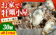 [12月中旬以降順次発送]牡蠣 殻付き かき カキ [生牡蠣][着日指定可能]究極の漁師めし!かきうちの 殻付き牡蠣 ガンガン焼き 30個 牡蠣 かき カキ 生牡蠣 ガンガン焼き 広島 江田島市/株式会社かきうち[XBK007] 牡蠣 むき身 殻付き 殻付 殻 かき カキ 生牡蠣 広島牡蠣 オイスター カキフライ 魚介類 魚介 貝類 海鮮 広島県産 国産 産地直送 贈答 ギフト 特産品