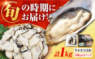 [2月1日(日)着]牡蠣 生食 むき身 濃厚エキスが口いっぱいに![生牡蠣][着日指定可能] むき身 1kg (500g×2)牡蠣 広島 かき カキ むき身 江田島市/山岡水産 [XBJ001] 牡蠣 生食 むき身 殻付き 殻付 殻 かき カキ 生牡蠣 広島牡蠣 オイスター カキフライ 魚介類 魚介 貝類 海鮮 広島県産 国産 産地直送 贈答 ギフト 特産品