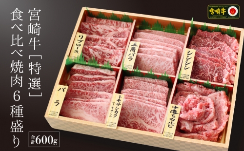 宮崎牛特選食べ比べ焼肉6種盛り 166129 - 宮崎県美郷町