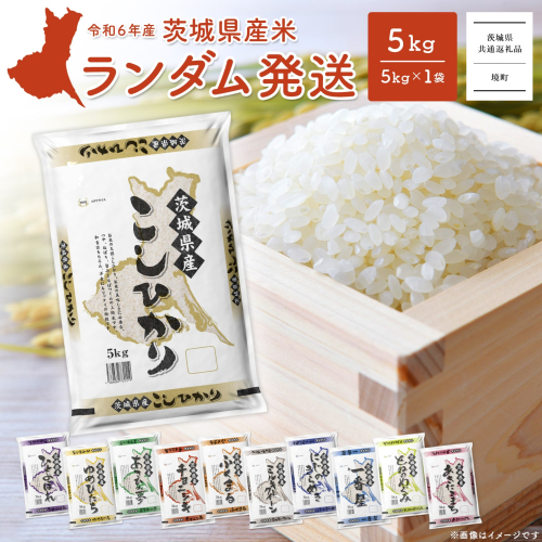 K2464【令和6年産】※ランダム※   お米 5kg  茨城県産 白米 1662158 - 茨城県境町