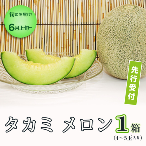 【 先行予約 】【 6月上旬 以降発送】 タカミメロン 1箱 （ 4～5玉 入り） 期間限定 めろん 果物 フルーツ 甘い [AA018ya] 166275 - 茨城県八千代町