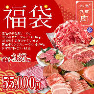 099H781 【期間限定】氷温(R)熟成肉 福袋 55,000円コース（合計6.85kg）