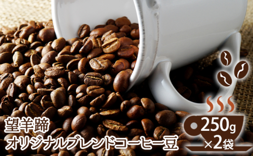 望羊蹄オリジナルブレンドコーヒー豆 250g×2袋 166395 - 北海道洞爺湖町