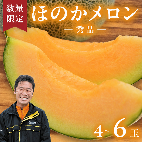 【先行予約 2026年5月下旬以降発送開始】  ほのかメロン 秀品（ 赤肉 ） 4玉 ～ 6玉 (2L～3L)  メロン 果物 フルーツ 甘い 茨城県 茨城県産 期間限定 数量限定 産地直送 農家直送 [AV001ya] 166405 - 茨城県八千代町