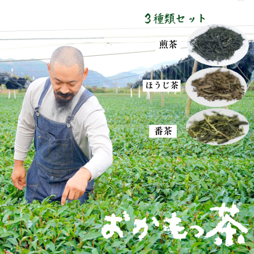 おかもっ茶 煎茶 ほうじ茶 番茶 ３種類 1.1kg セット 日本茶 緑茶 お茶 飲み比べ 詰め合わせ 舞鶴茶 京都 166447 - 京都府舞鶴市