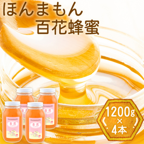 ほんまもん百花蜂蜜 1200g×4本 計4800g 村上養蜂《90日以内に順次出荷(土日祝除く)》和歌山県 紀の川市 166553 - 和歌山県紀の川市