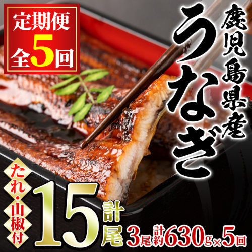 【113044】＜定期便・全5回＞東串良町のうなぎ蒲焼(無頭)(3尾・計約630g・タレ、山椒付×5回)うなぎ 高級 ウナギ 鰻 国産 蒲焼 蒲焼き たれ 鹿児島 ふるさと 人気【アクアおおすみ】 166558 - 鹿児島県東串良町