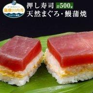 A-0162 押し寿司（天然まぐろ・鹿児島県産鰻蒲焼）250g×2本