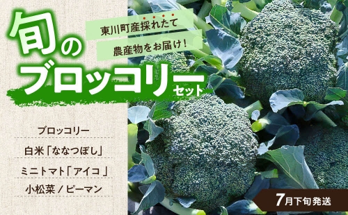 【7月下旬発送】旬の採れたて野菜「ブロッコリーセット」 166968 - 北海道東川町