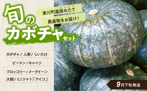 【9月下旬発送】旬の採れたて野菜「カボチャセット」 166970 - 北海道東川町