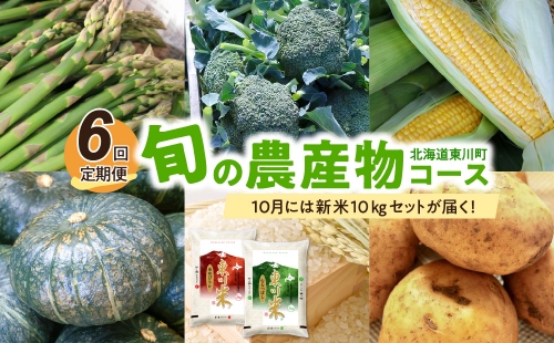 【6回定期便】旬の農産物コース 166975 - 北海道東川町
