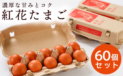 紅花たまご60個セット 10個×6パック 卵 167290 - 山形県米沢市