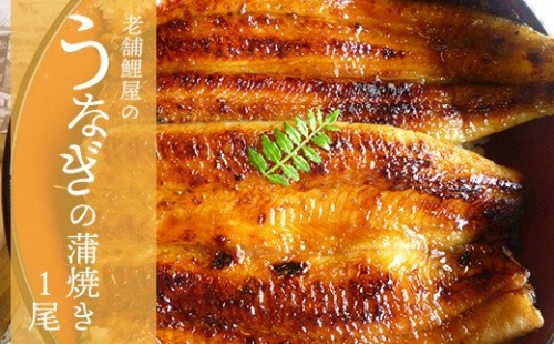 老舗鯉屋のうなぎ蒲焼き 1尾(120~130g)真空パック 国産 167295 - 山形県米沢市