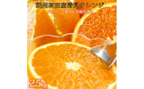 とにかくジューシー清見オレンジ 約2.5kg【2025年3月下旬以降発送】【先行予約】【UT131】 1675777 - 和歌山県那智勝浦町