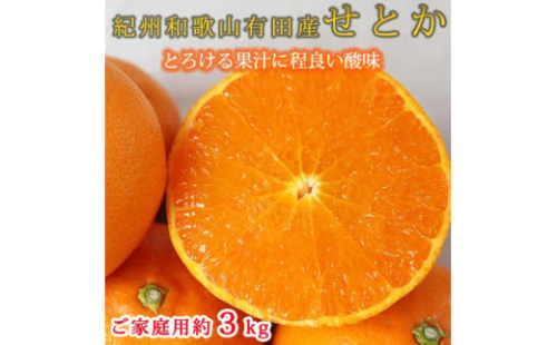 紀州有田産せとか 約3kg 【ご家庭用】とろける食感！ジューシー柑橘【2025年2月下旬以降発送】【先行予約】【UT133】 1675783 - 和歌山県那智勝浦町