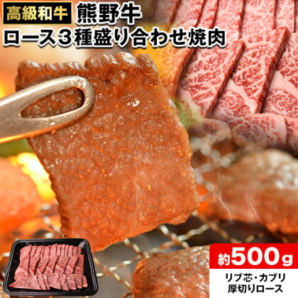 和歌山産 高級和牛 熊野牛 ロース盛合せ焼肉 約500g エバグリーン《30日以内に出荷予定(土日祝除く)》 和歌山県 日高町 牛 うし 牛肉 熊野牛 和牛 高級 1678082 - 和歌山県日高町