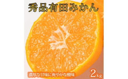 紀州有田産濃厚甘熟温州みかん約2kg (2S ～ Lサイズのいずれか) 1679640 - 和歌山県有田川町