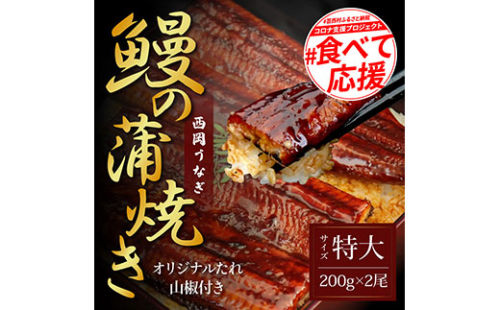 KGP026　緊急支援 人気惣菜 本気の高知ブランド鰻「西岡うなぎ」～特上（特大サイズ）～うなぎの蒲焼き2尾セット（約400g）タレ・山椒付き｜ウナギ 国産 特産品 高知県産 土佐 食べて応援 蒲焼 焼きたて 丼 うな重 ひつまぶし〈田野町共通返礼品〉 168002 - 高知県芸西村